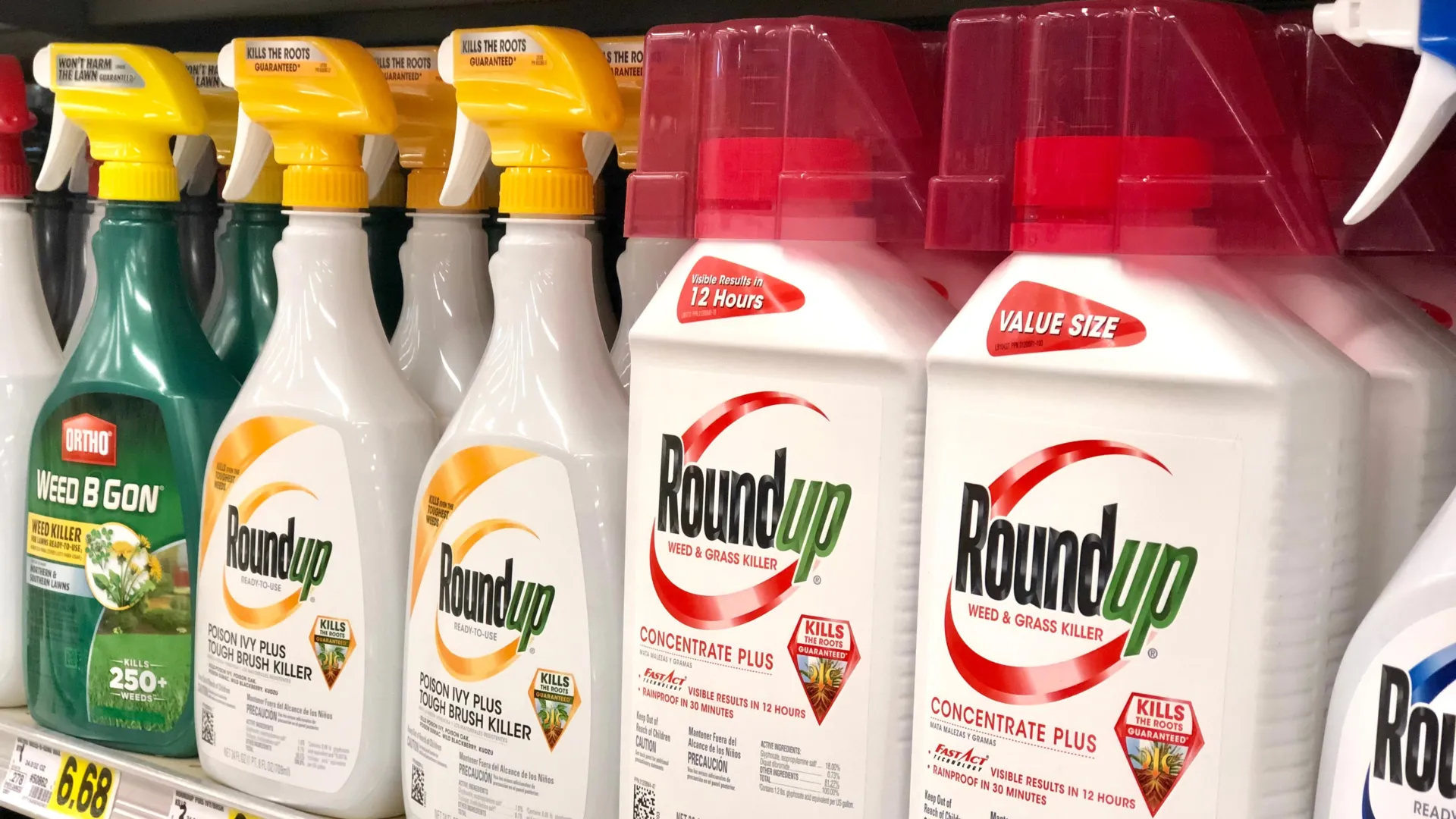Common Weedkiller Glyphosate May Select for Antibiotic-Resistant Bacteria