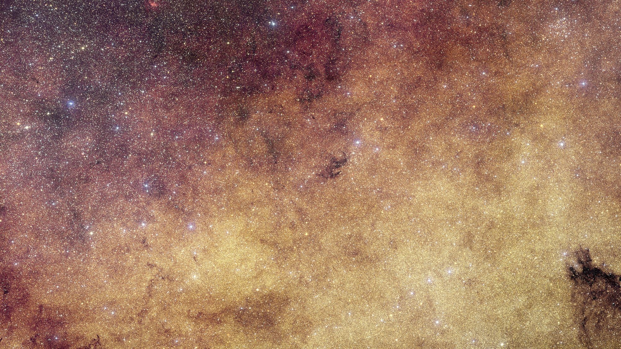 Euclid Telescope Captures 60 Million Stars at the Milky Way's Heart