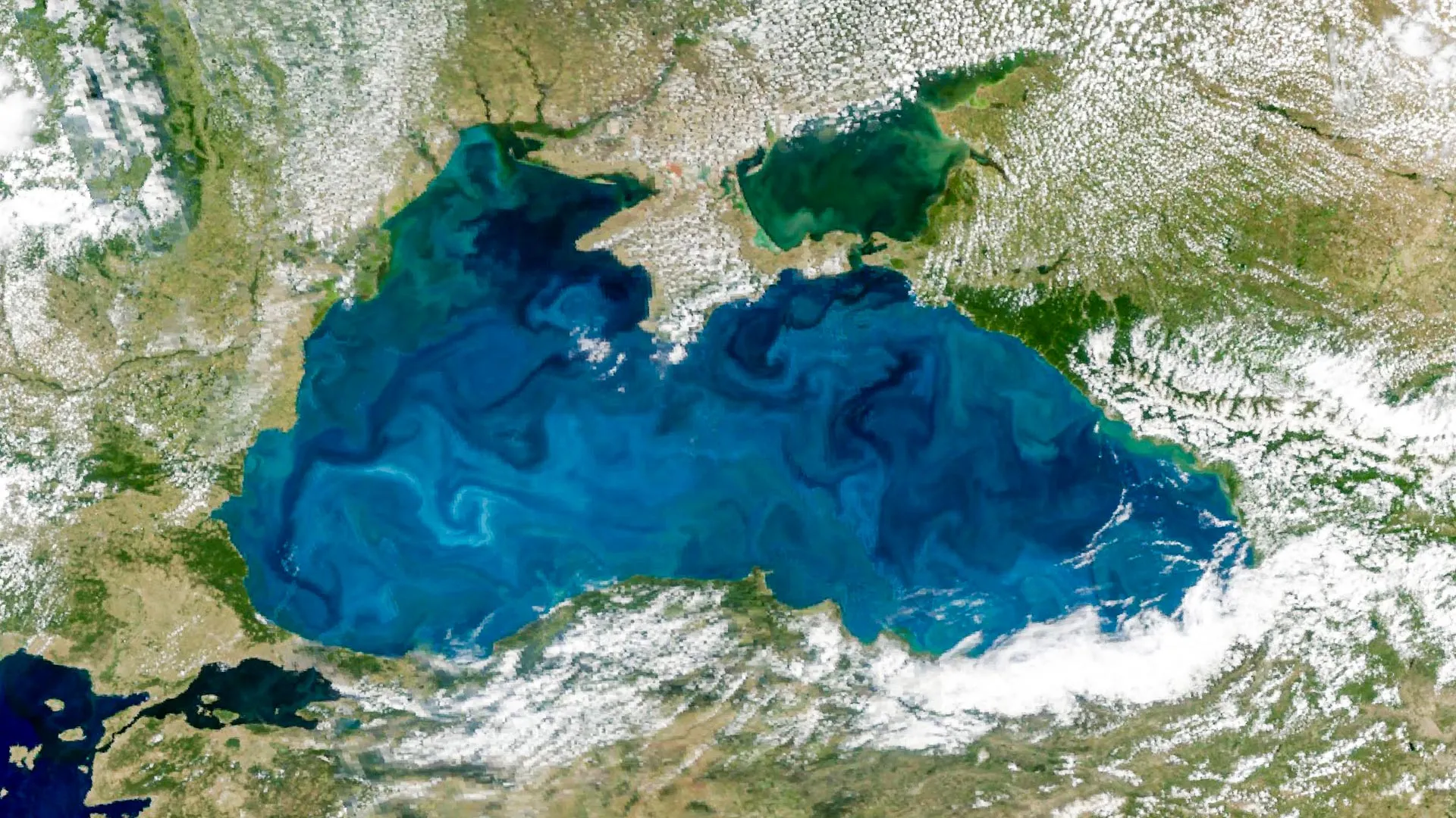 NASA Satellite Captures Black Sea's Vivid Turquoise Spring Bloom