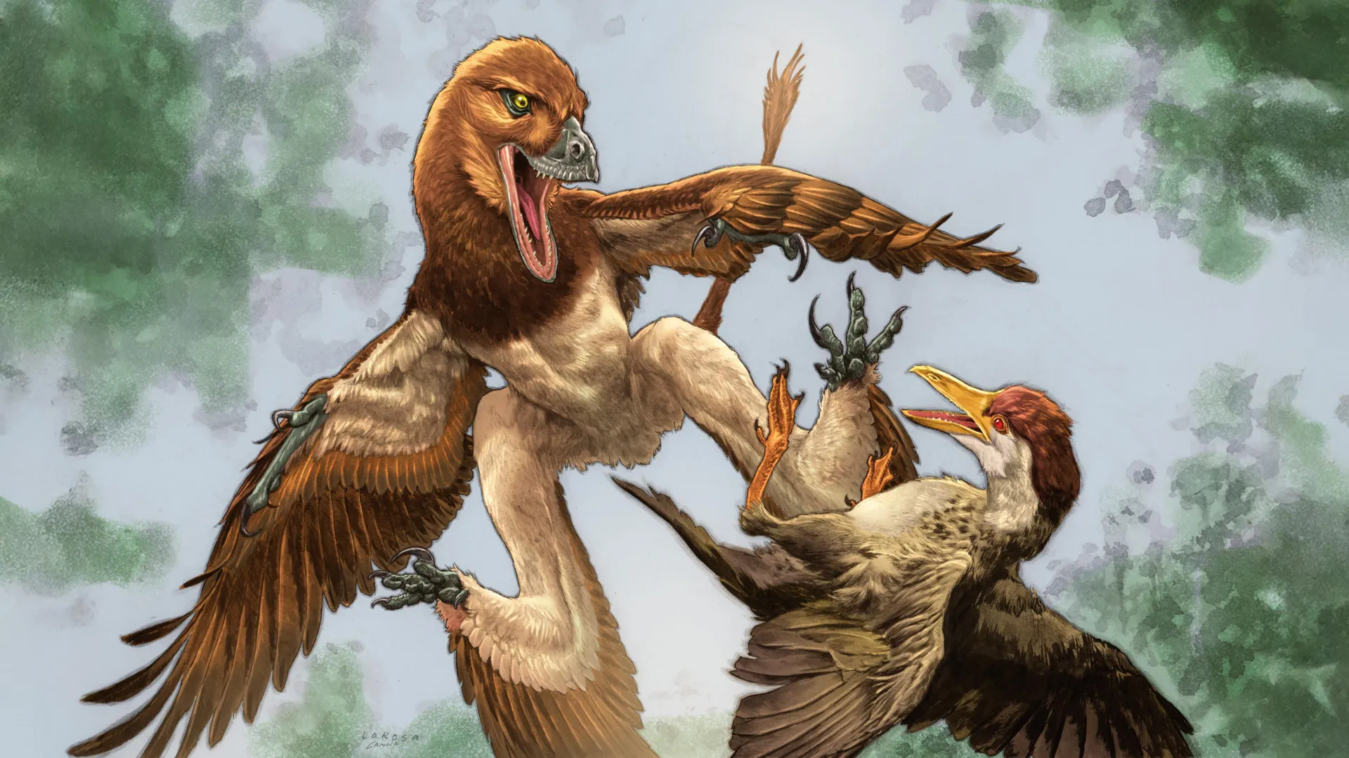 New Feathered Dinosaur May Have Preyed on Ancient Birds