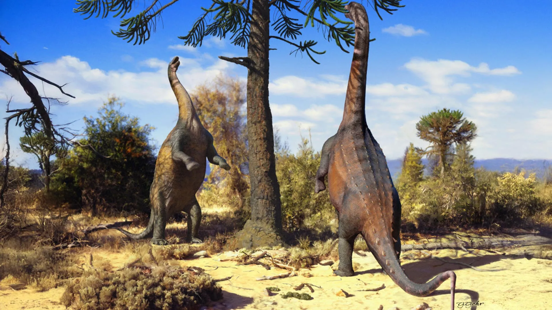 Some Sauropod Dinosaurs Could Stand Upright on Two Legs
