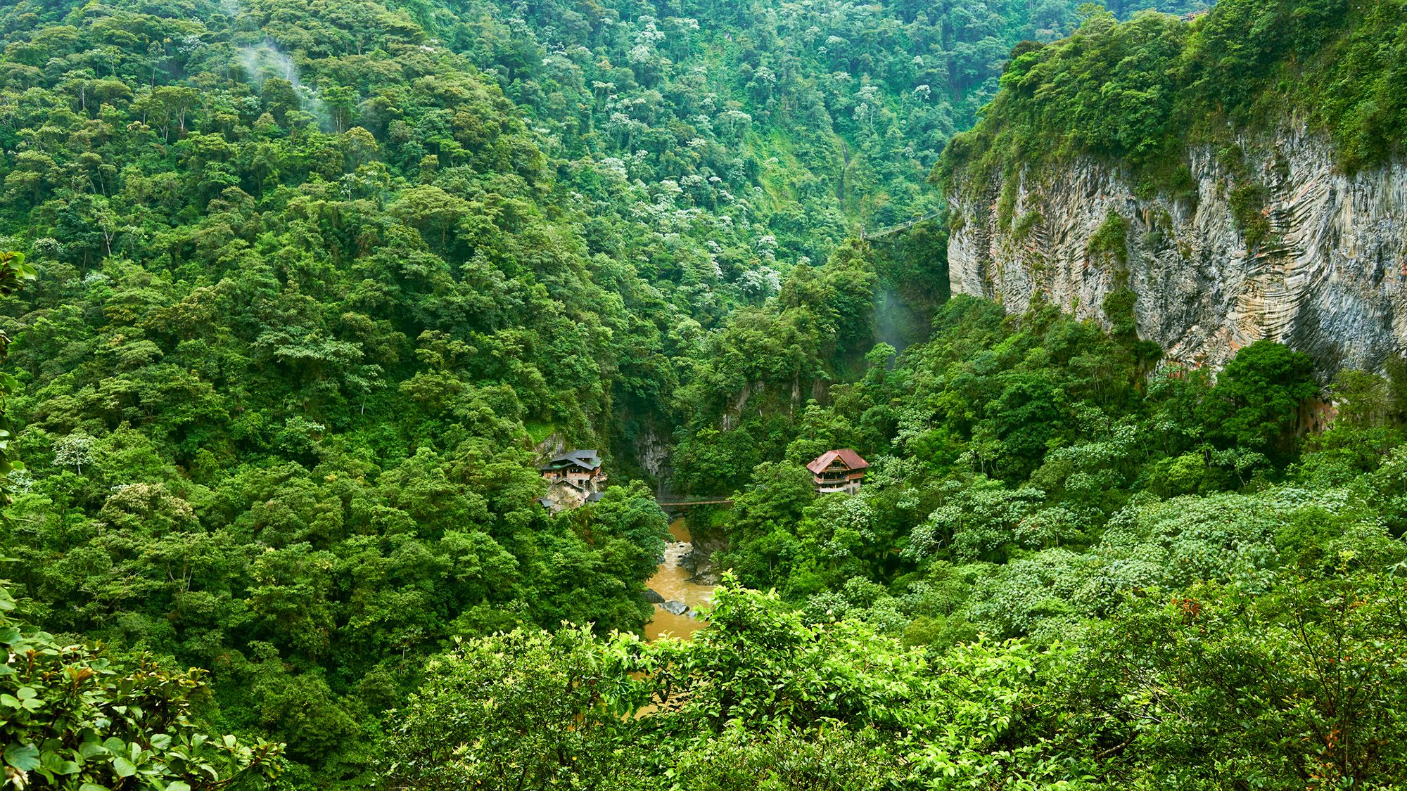 Tropical Forests May Stop Absorbing CO₂ During El Niño Events