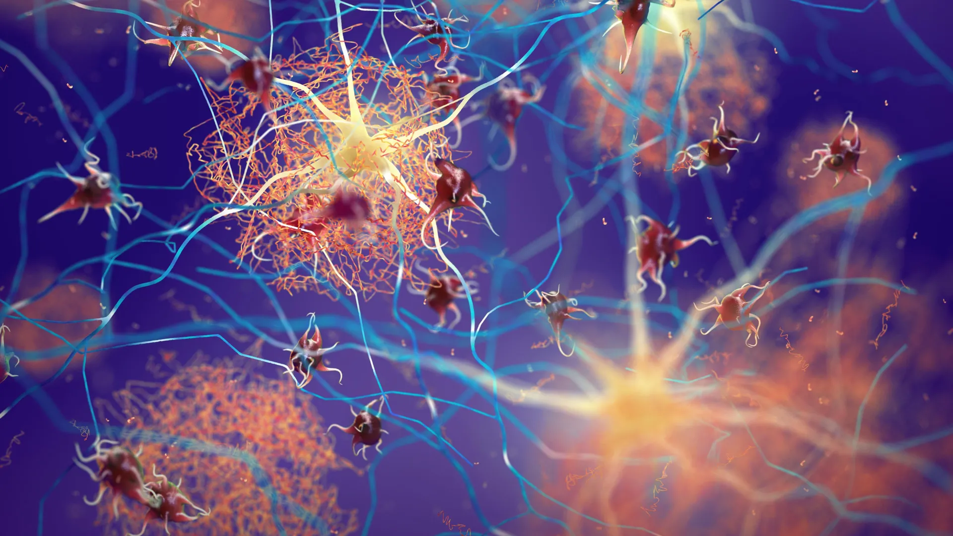 Tubulin Protein May Protect Against Alzheimer's and Parkinson's Disease